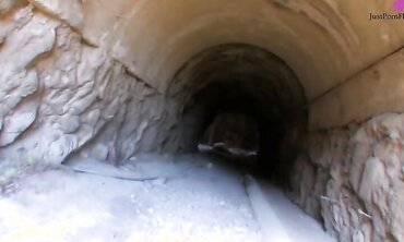 Facial Cumshot, Anal, Ass To Mouth, 18+, One on One, Natural Tits, Fresh Faces, Outdoors, Shaved Pussy