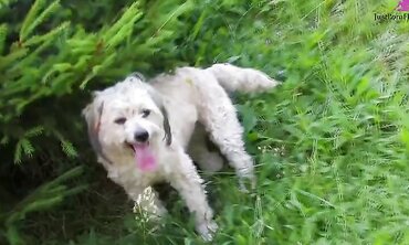 Ass To Mouth, 18+, One on One, Natural Tits, Fresh Faces, Outdoors, Shaved Pussy, Facial Cumshot, Anal