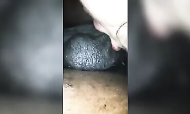 Submissive Latina Takes Interracial Head and Assjob
