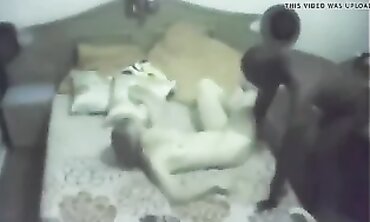 Step-Mom Cheats With A Black Stallion