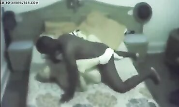 Step-Mom Cheats With A Black Stallion