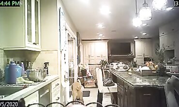 American Kitchen Bra Webcam Leak 1005