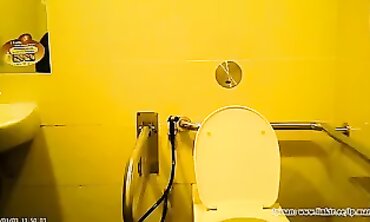 POV Voyeur: homemade Catches Asian Woman in SG Restroom