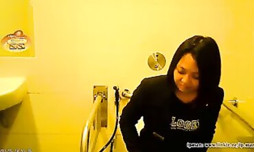 POV Voyeur: homemade Catches Asian Woman in SG Restroom