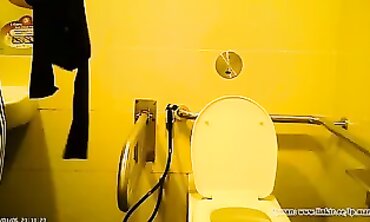 POV Voyeur: homemade Catches Asian Woman in SG Restroom