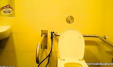 POV Voyeur: homemade Catches Asian Woman in SG Restroom