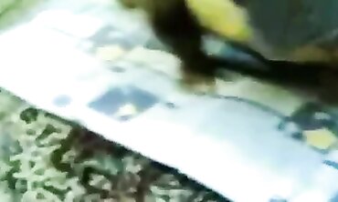 Hijab-Wearing Lebanese MILF Takes an Anal Humping