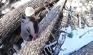 Asian BWC MILF Creampie In The Snow Forest