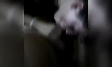 barely legal Escort Gets Facial Cumshot From Mature Man