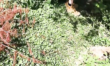 POV: Naughty MILF Sucks My Dick in the Garden