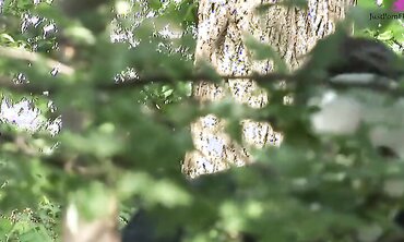 Claudia Rossi Plays Perverted Games With A Masked Man In The Woods
