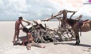 Druuna Diva Takes Dick On The Sandy Beach