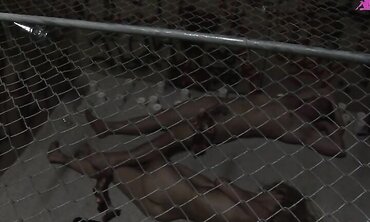 Gaping, Anal, Threesome, Ass To Mouth, Deep Throat