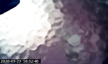 Honey Gets Caught Showering by Her Step-Sister