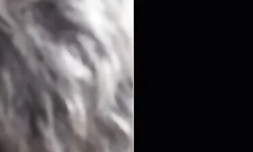 Hot Arabian Dancer Shakes Her Hips And Moves To The Beat Of Desi Music