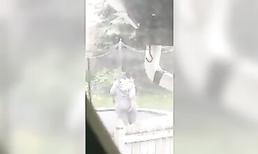 My Hot Latina Neighbor Next Door