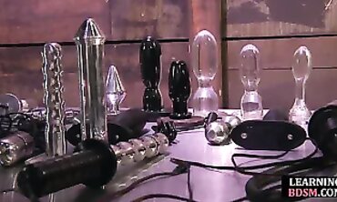 Electroplay domina shocks les gimp during lesson