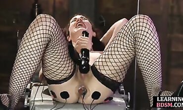 Electroplay domina shocks les gimp during lesson