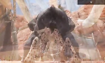 Fresh Gulhragg Cheetah Ladies in Wild Hardcore Action
