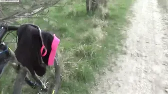 POV: Dark-Haired Fitness Girl Gets Humped Outdoors