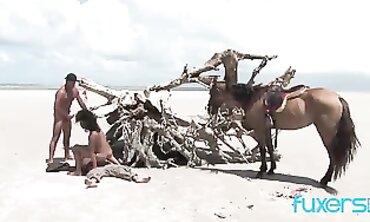 Latin Beauty Elodie Gets Double Penetrated - POV Blowjob & Anal Threesome
