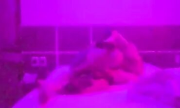 Hot Blonde Babe Gets Fucked Hard By Her Best Friend's Dad After A Wild Night Out
