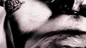 Exotic Dancer Gives Sensual Striptease on Stage - Sexy Brunette Teases Audience