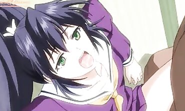 Uncensored Hentai: Sensei Creampie Compilation with Stockinged Students