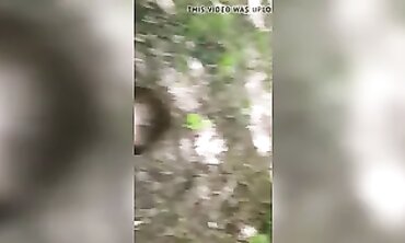 barely legal Russian Amateur Seduced in Park for Passionate Blowjob