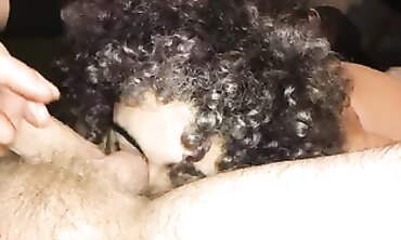 Enslaved 19-Year-Old BBW Gives Blowjob, Rimming & Testicle Munch