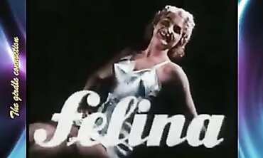 Lingerie Collection: Girdles and Stockings
