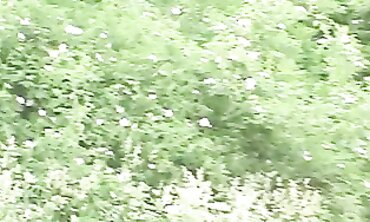 Hot Czech College Student Gets Fingering in a Stone Quarry