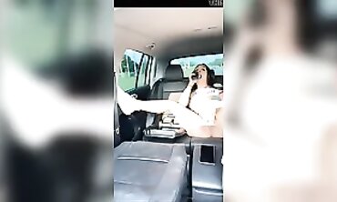 Stunning Doll Masturbates with Sex Toy in Moving Car
