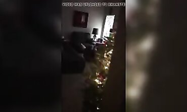 Shane Diesel & Tanner Mayes: Interracial Christmas Compilation