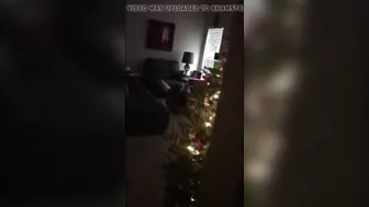 Shane Diesel & Tanner Mayes: Interracial Christmas Compilation