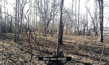 Masked Outdoor Make-Out Turns Into Passionate Sex