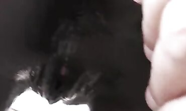 barely legal Ebony Couple Doggystyle Creampie in the Kitchen