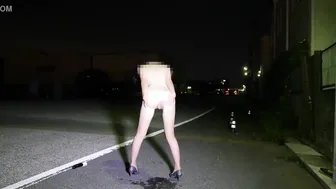 Reipon's Wild Japanese Public Peeing and Squirting Megamix