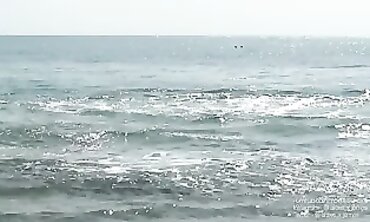 Fit Fucksluts Get Pounded and Swallow Princess Cum on the Beach