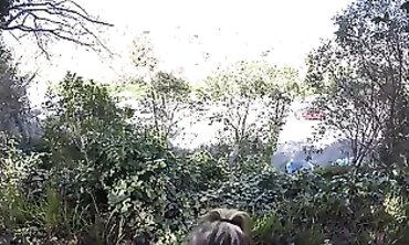 POV Outdoor Blowjob With Anya Olsen