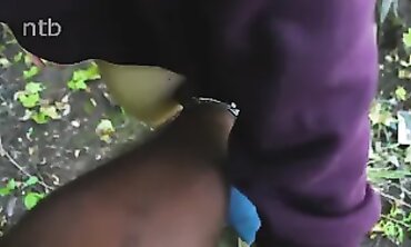 Ginger Gets Creampied in the Woods by a BBC