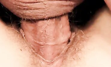 Close-Up of Brunette MILF Taking a Big Cock Bareback