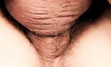 Close-Up of Brunette MILF Taking a Big Cock Bareback