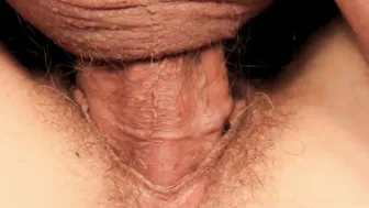 Close-Up of Brunette MILF Taking a Big Cock Bareback