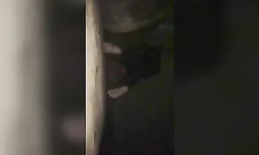 Quarantined Teen Enjoys Her New Vibrator - Sex Toy Review by [Your Name]