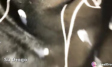 Oiled Dyke Fuck-Fest: Big Pearl & Lengthy Fuckbox Struggle