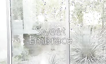 Sensual Couple's Intimate Moment With Passionate Sex And Romantic Kissing