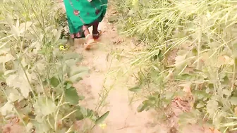 सरसों के खेत में सासुर जी की जबरदस्त चोदई
