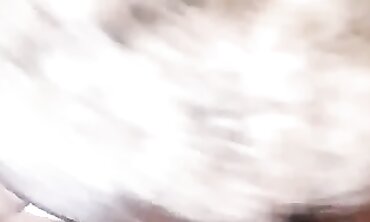 POV Blowjob and Backshots Creampie