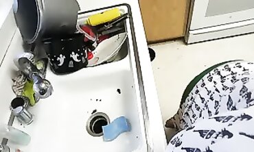 Miss Luna Magic Cleans the Kitchen